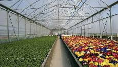 نایلون عریض گلخانه ای برای محافظت مصالح در شرایط مختلف